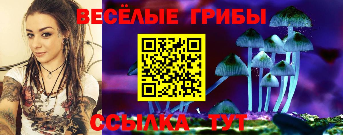 Вышний Волочёк  Галлюциногенные грибы Cubensis  Вход с VPN 